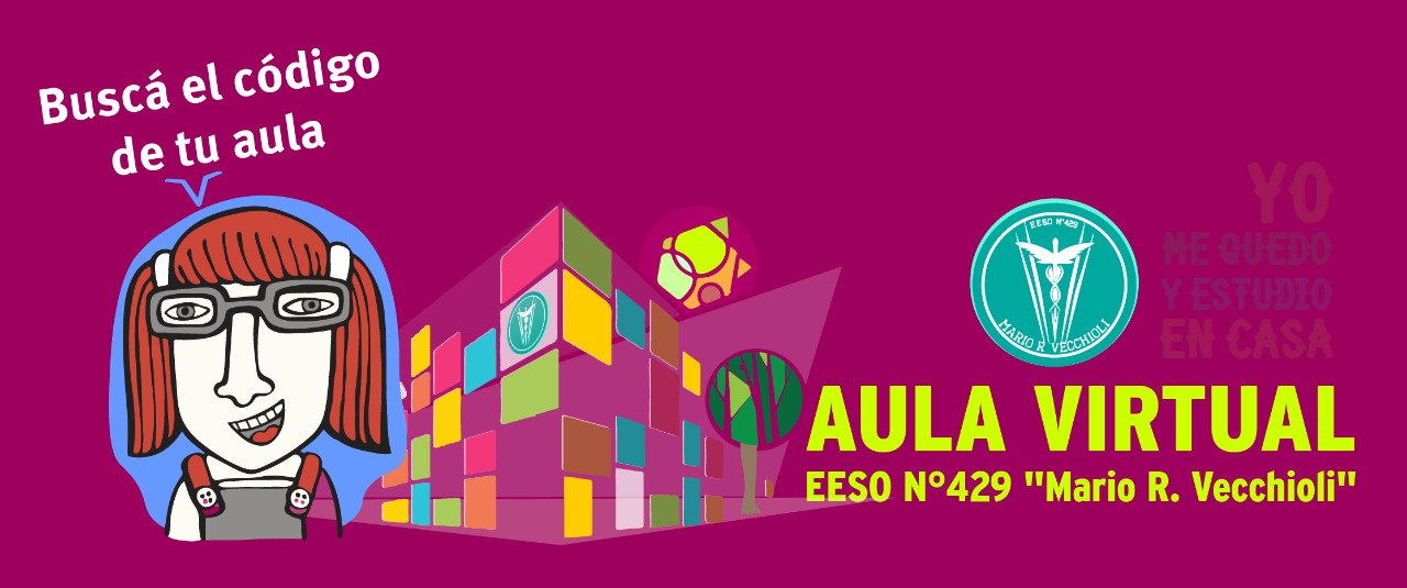 AULA VIRTUAL